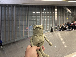 Fergus in Las Vegas
